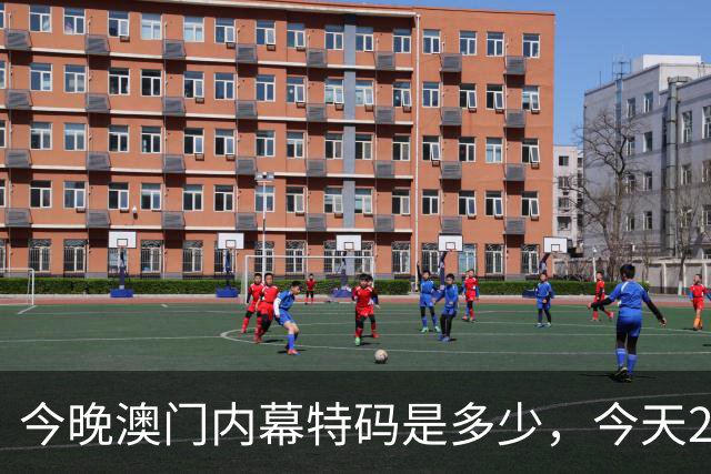 今晚澳门内幕特码是多少,今天297期特码资料是多少每日分享